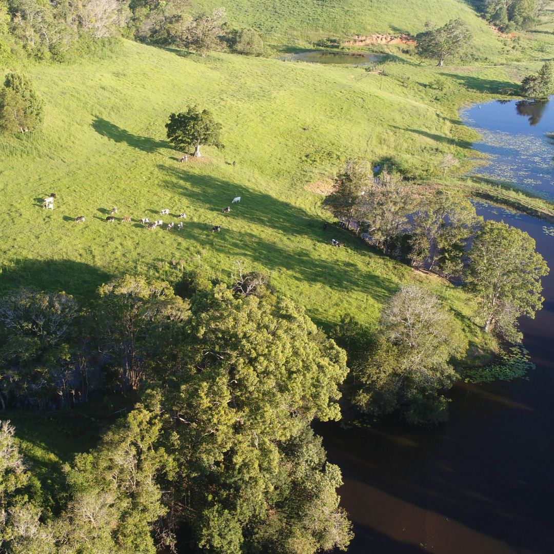 Aerial view of farm